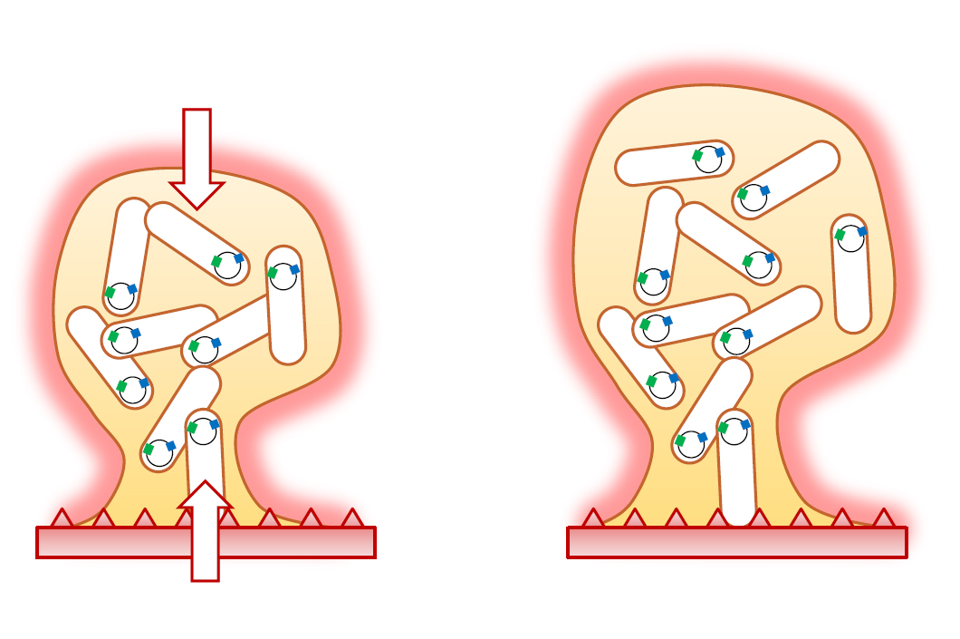 Schematic representation of bacteria, shown as rods, in a biofilm. Schematic representation of bacteria in a biofilm