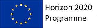 Biocombs4nanofibers: Horizon 2020 Logo Horizon 2020 Logo