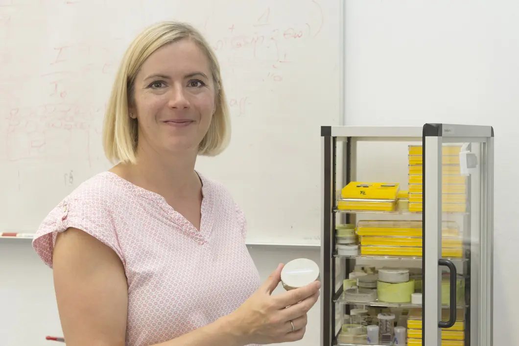 Passion for detail Prof. Dr. Christiane Stephan-Scherb