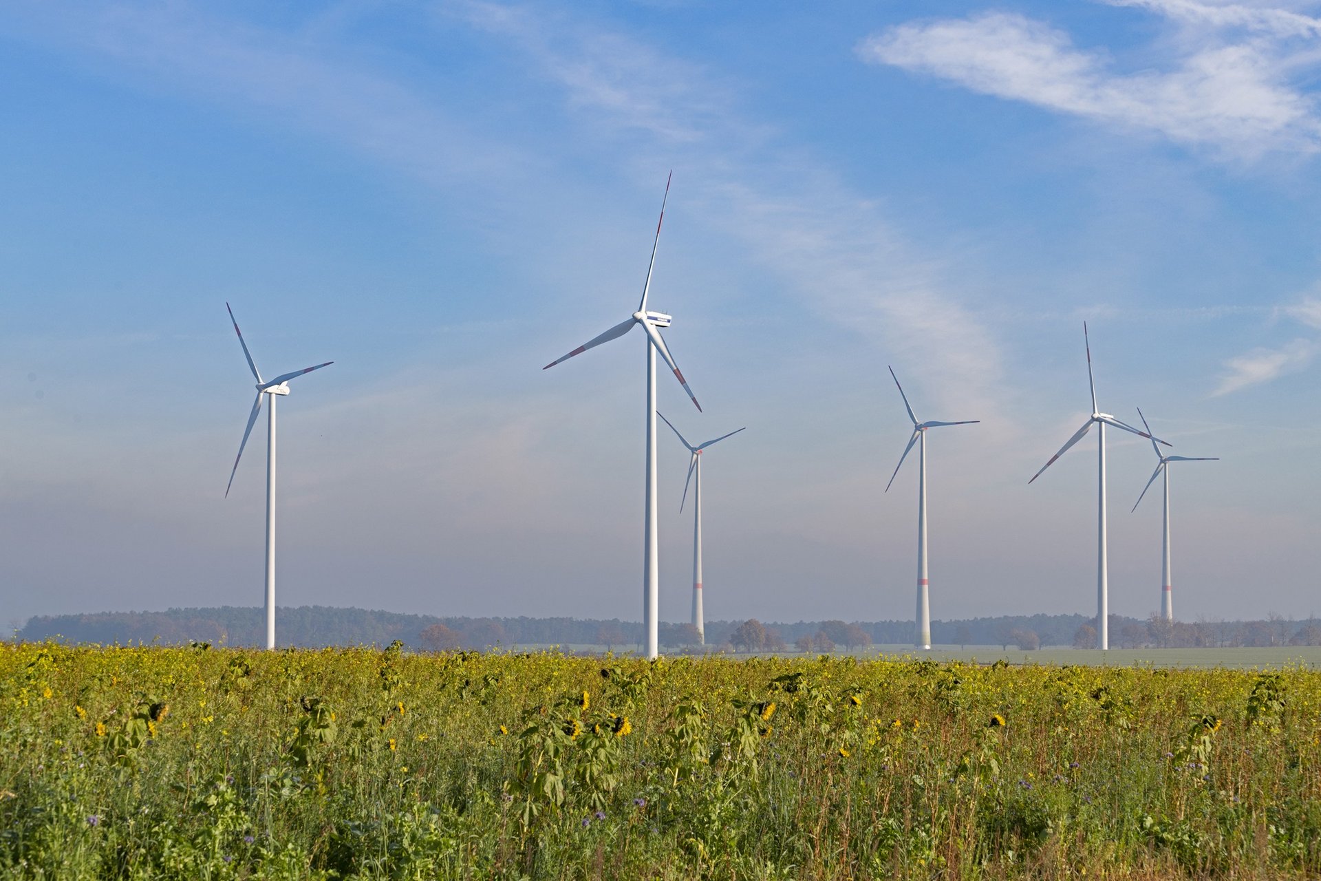 ReliaBlade2 Windräder auf einer Wiese