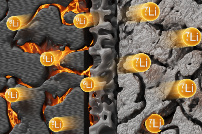 Die Verteilung der Lithium-Isotope 6 und 7 in einer Zelle hinterlässt einen charakteristischen Fingerabdruck und kann als Diagnosewerkzeug für Alterungsprozesse dienen.