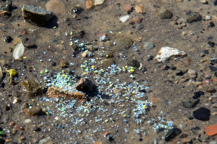 Image of microplastic at the riverbank